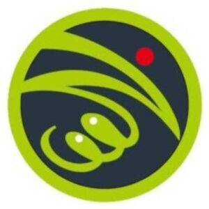 wetrue logo